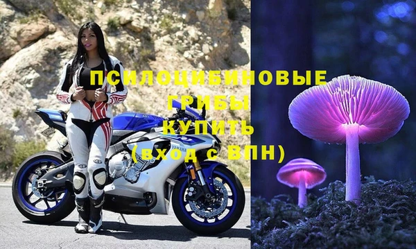 трава Кукмор