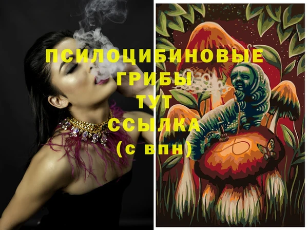 не бодяженный Краснотурьинск